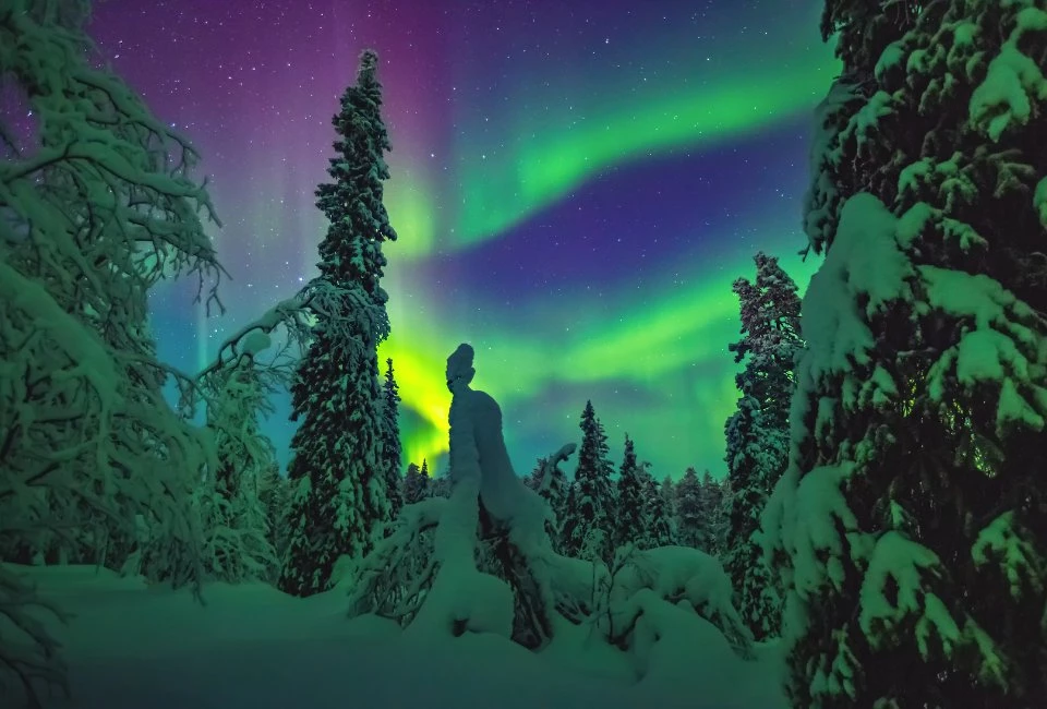 Voyage Noël au Cercle Polaire à Jeris en Laponie