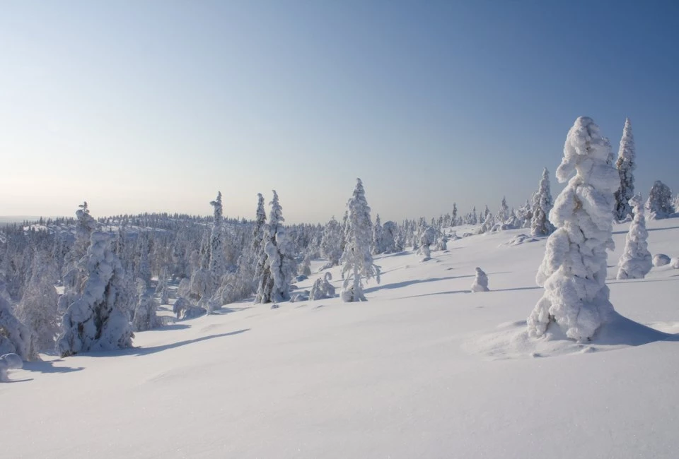 Laponie à la carte : le Grand Blanc selon vos envies