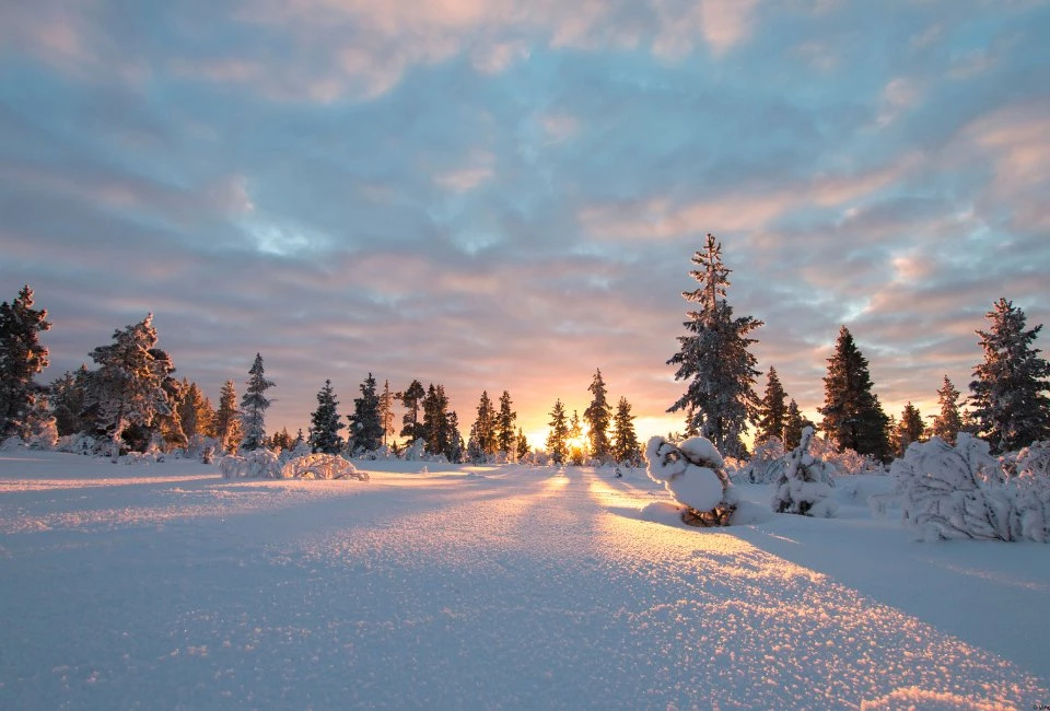 Noël au Cercle Polaire à Harriniva